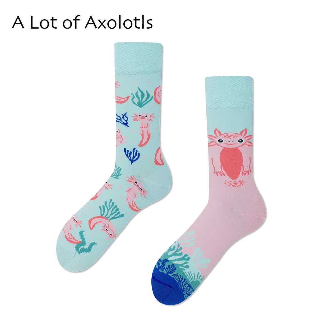 MANY MORNINGS[メニーモーニングス] Regular.Socks [r-socks] ポーランド製・靴下・柄・かわいい・プレゼントにも・ギフト・左右非対称・ LADY'S [2026SS]