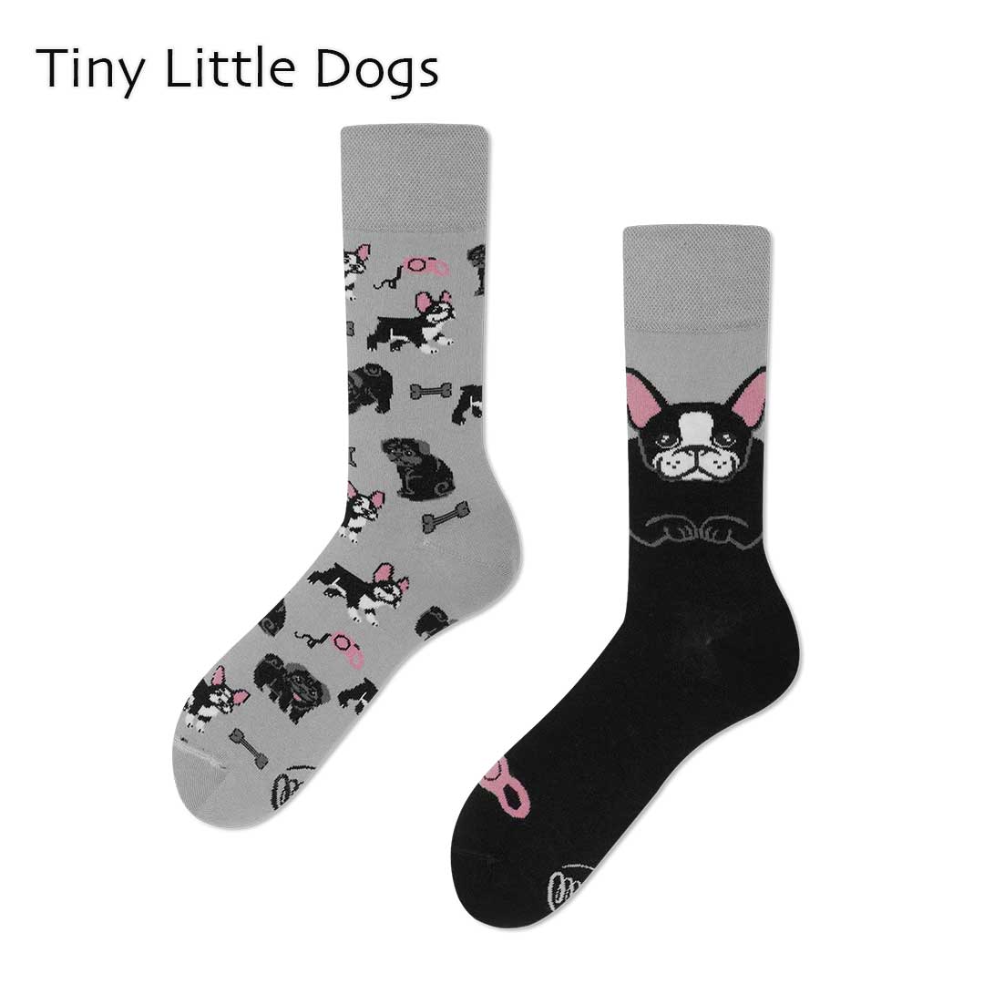 MANY MORNINGS[メニーモーニングス] Regular.Socks [r-socks] ポーランド製・靴下・柄・かわいい・プレゼントにも・ギフト・左右非対称・ LADY'S [2026SS]