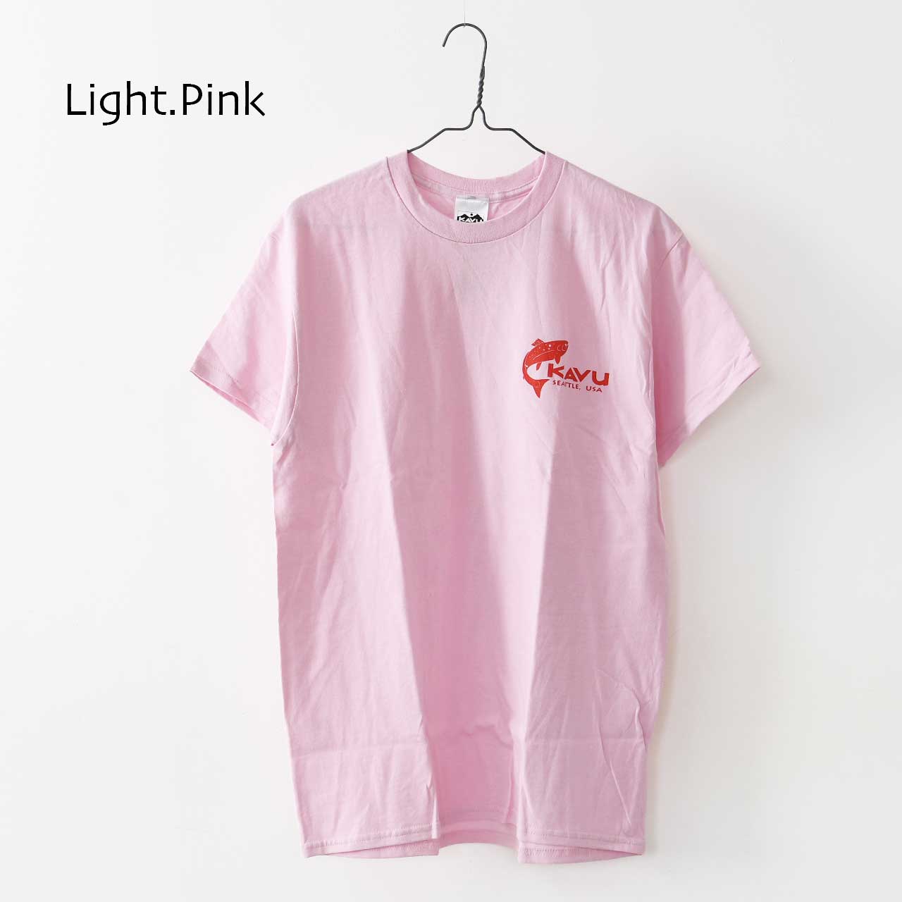 KAVU [カブー] Simple Salom Tee [19822262] カブー メンズ シンプルサーモン Tシャツ・MEN'S [2025SS]