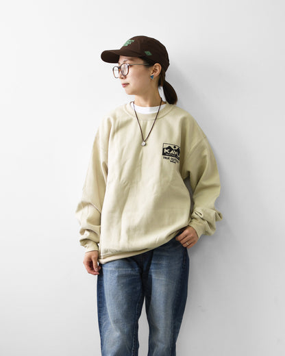 KAVU [カブー] True Logo Sweat [19822564] トゥルーロゴスウェット・ロゴスウェット・トレーナー・プリント・MEN'S [2026AW]