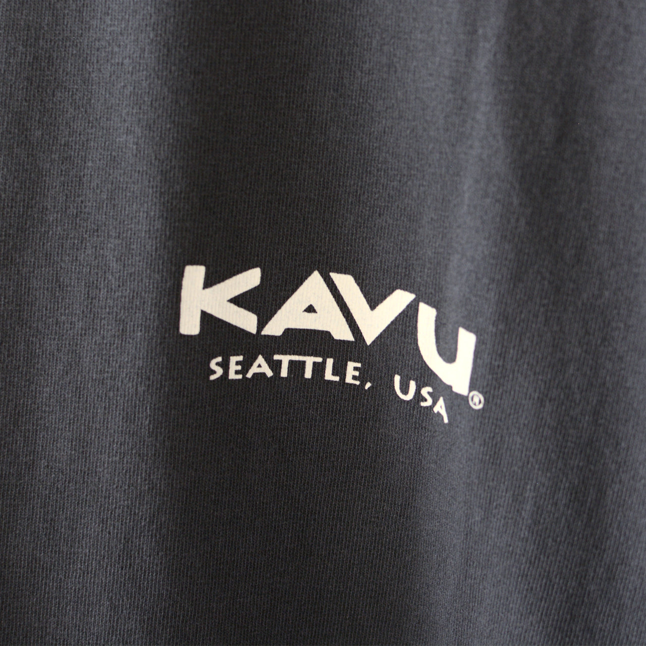 KAVU [カブー] Surf Logo LS Tee [19823015] サーフロゴ ロングスリーブTシャツ [2024AW]