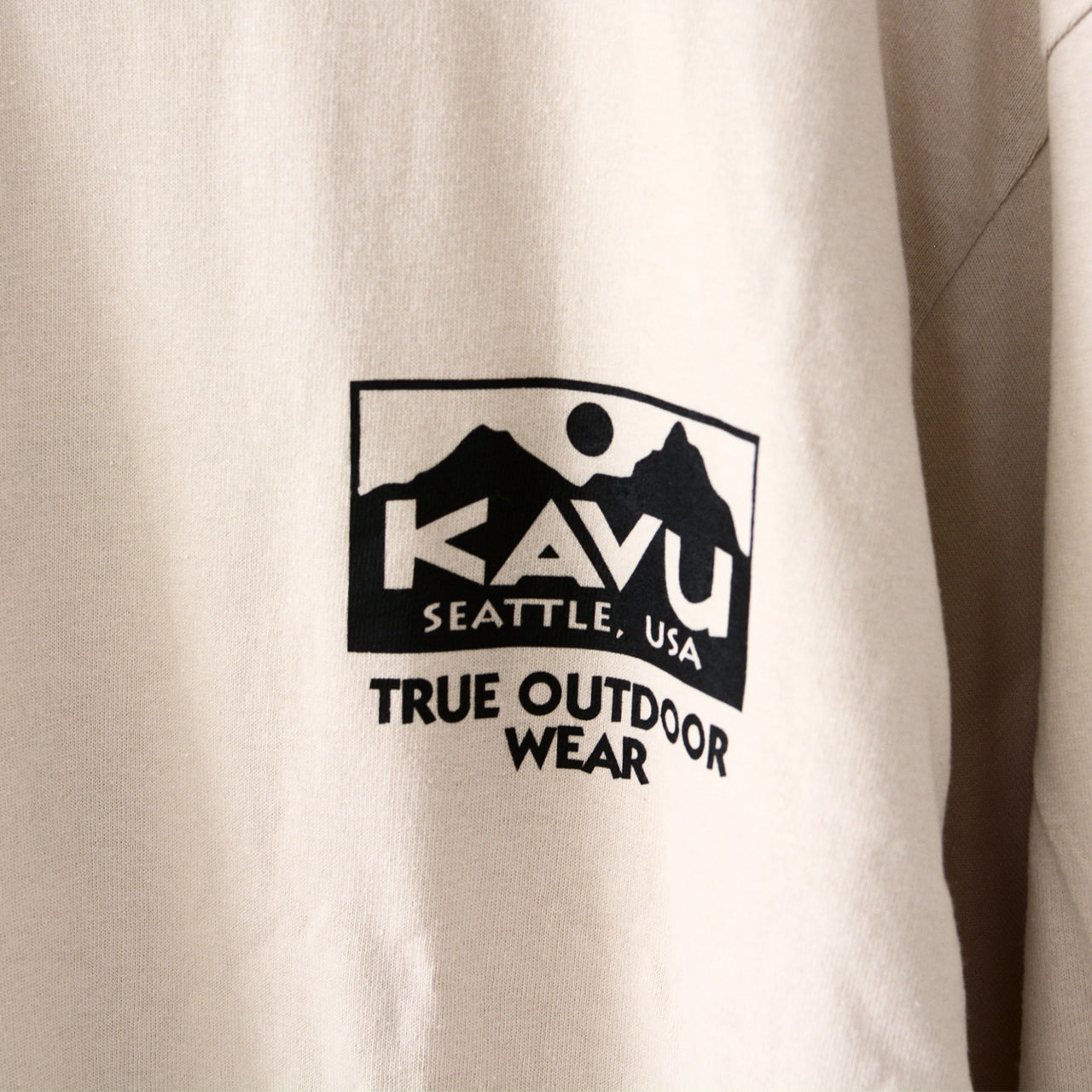 KAVU [カブー] True Logo LS Tee [19823029]トゥルーロゴ ロングスリーブ Tシャツ [2024AW]