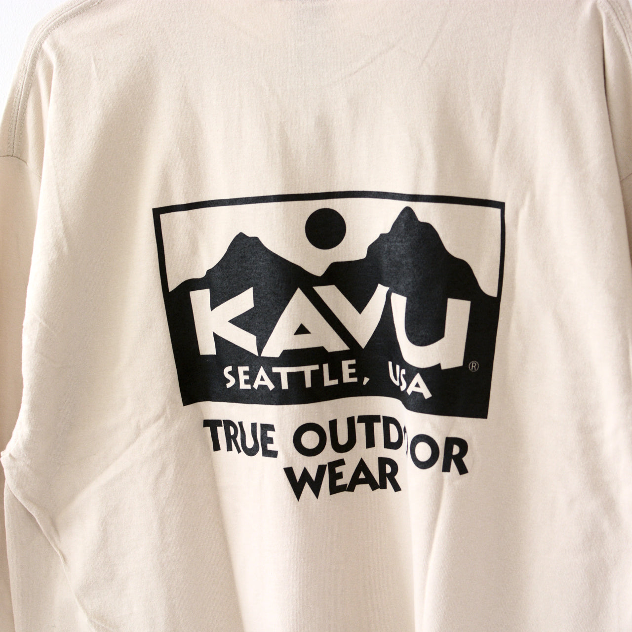 KAVU [カブー] True Logo LS Tee [19823029]トゥルーロゴ ロングスリーブ Tシャツ [2024AW]