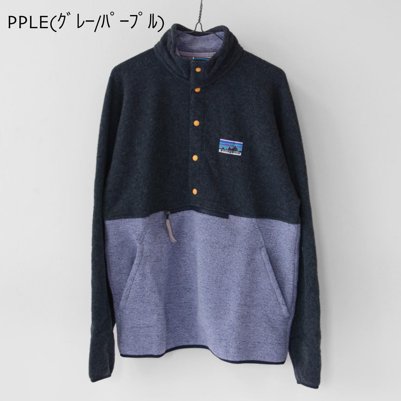 Patagonia [パタゴニア正規代理店] Natural Blend Snap-T P/O [20530-23]ナチュラル・ブレンド・スナップT・プルオーバー [2023AW]