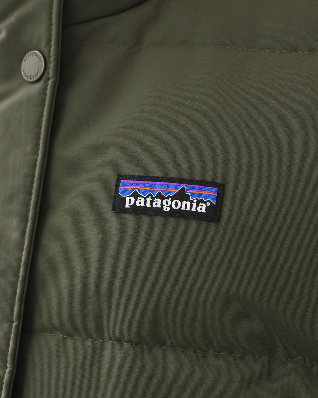 Patagonia [パタゴニア正規代理店] W's Downdrift Vest [20685] ウィメンズ・ダウンドリフト・ベスト・ダウンベスト・LADY'S  [2025AW]