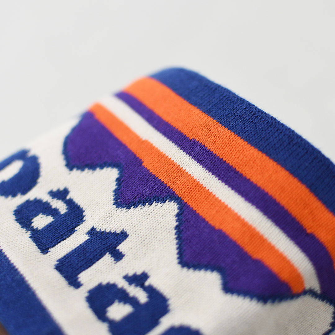 Patagonia [パタゴニア正規代理店] Powder Town Headband [28761] パウダー・タウン・ヘッドバンド・MEN'S/LADY'S  [2025AW]