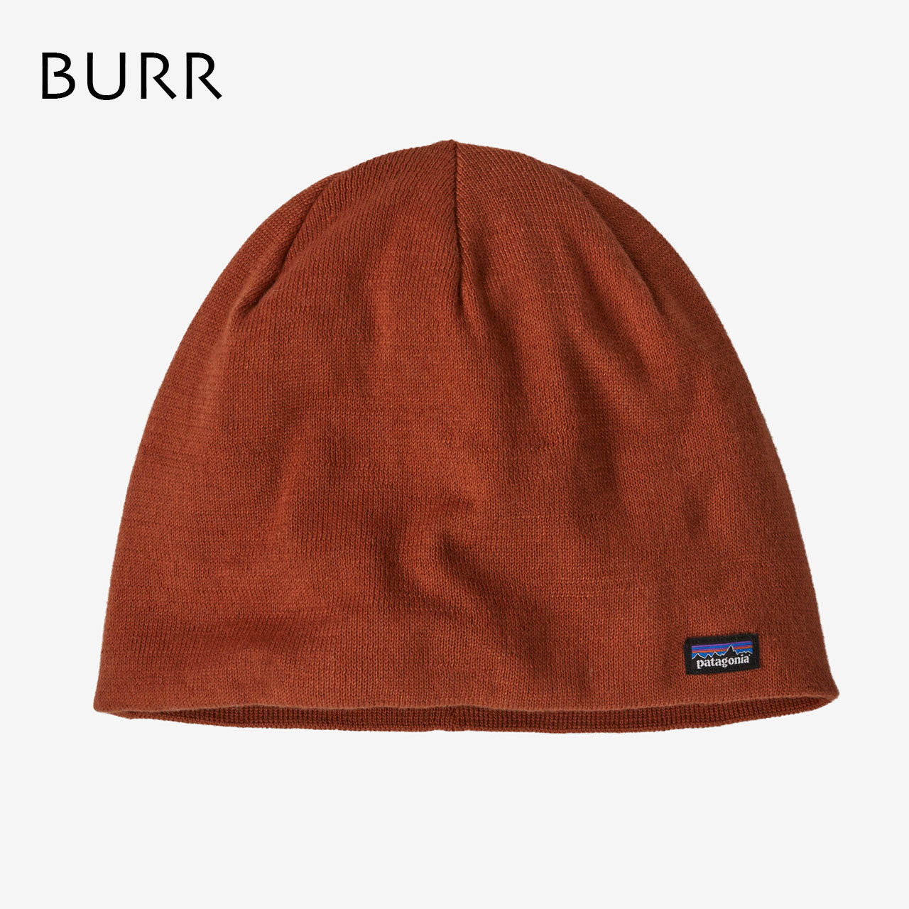 Patagonia [パタゴニア正規代理店] Beanie Hat [28860] ビーニー・ハット [2024AW]