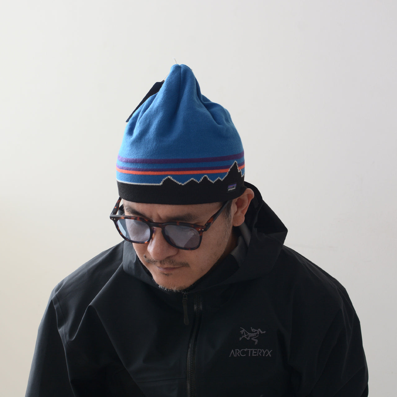 Patagonia [パタゴニア正規代理店] Beanie Hat [28860] ビーニー・ハット [2024AW]