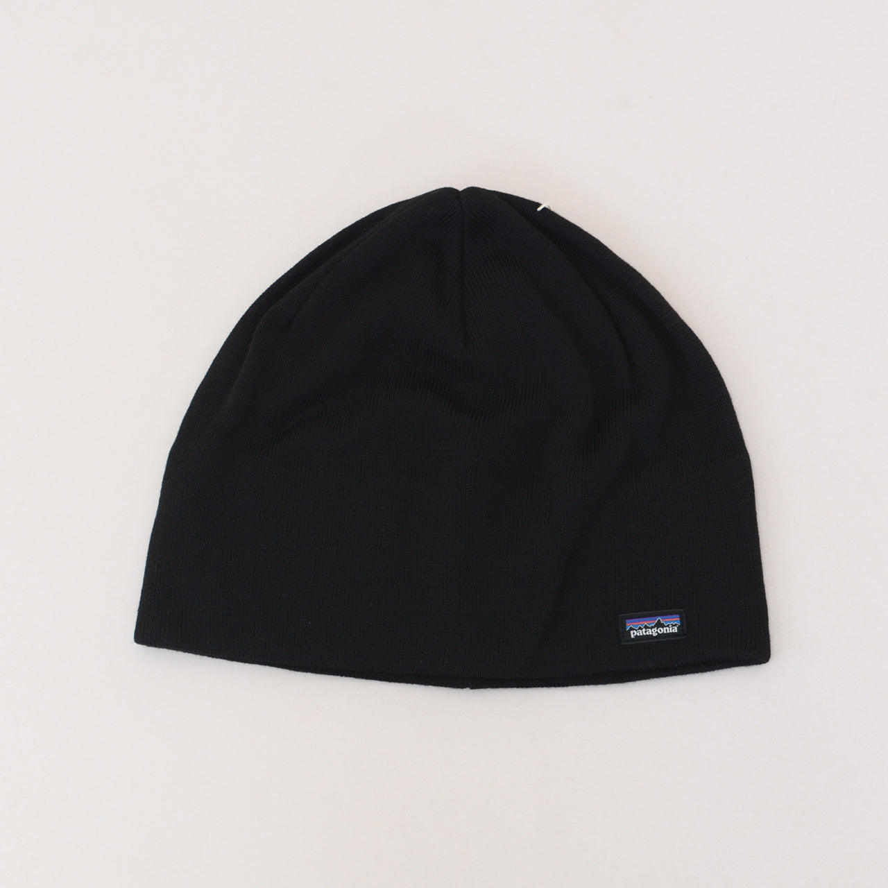 Patagonia [パタゴニア正規代理店] Beanie Hat [28860] ビーニー・ハット [2024AW]