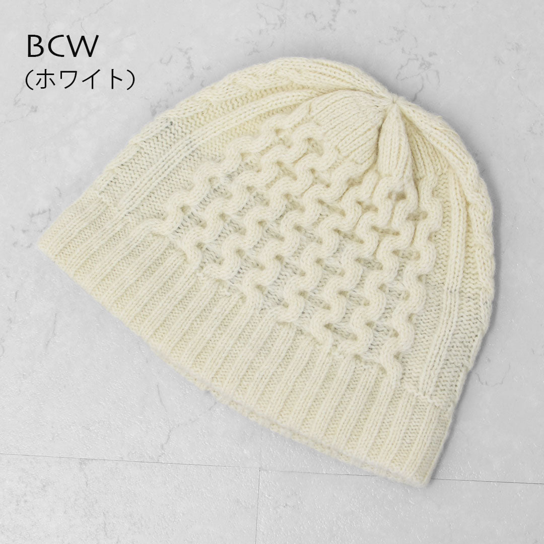 Patagonia [パタゴニア正規代理店] Coastal Cable Beanie [28997] コースタル・ケーブル・ビーニー  [2025AW]