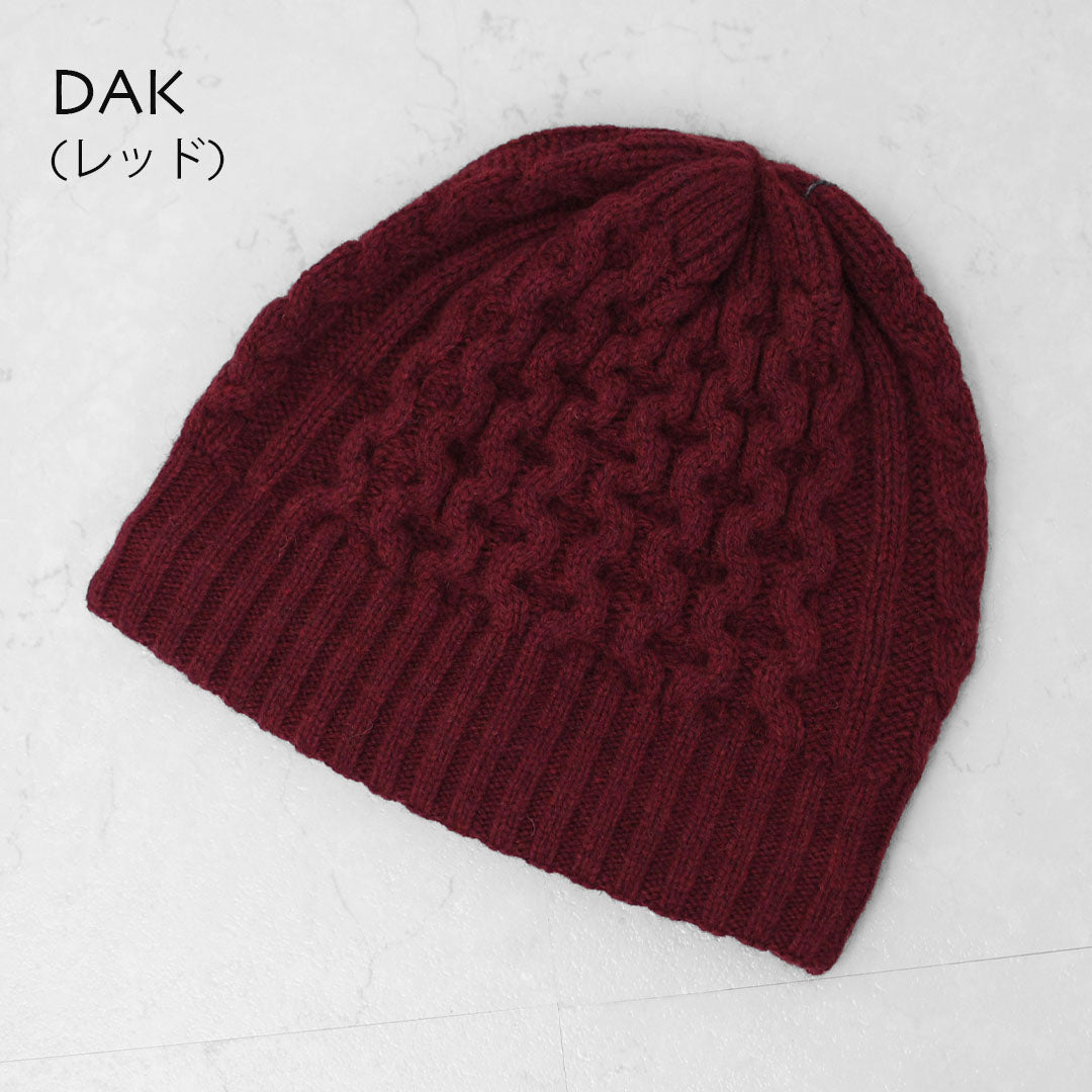 Patagonia [パタゴニア正規代理店] Coastal Cable Beanie [28997] コースタル・ケーブル・ビーニー  [2025AW]