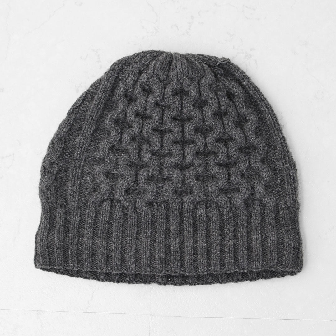 Patagonia [パタゴニア正規代理店] Coastal Cable Beanie [28997] コースタル・ケーブル・ビーニー  [2025AW]