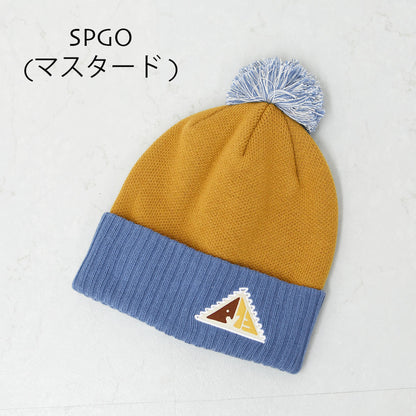 Patagonia [パタゴニア正規代理店] Powder Town Beanie [29187] パウダー タウン ビーニー・MEN'S / LADY'S [2025AW]