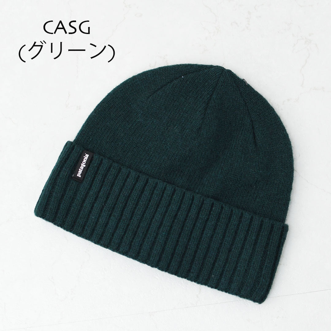 Patagonia [パタゴニア正規代理店] Brodeo Beanie [29206] ブロデオ・ビーニー [2025AW]
