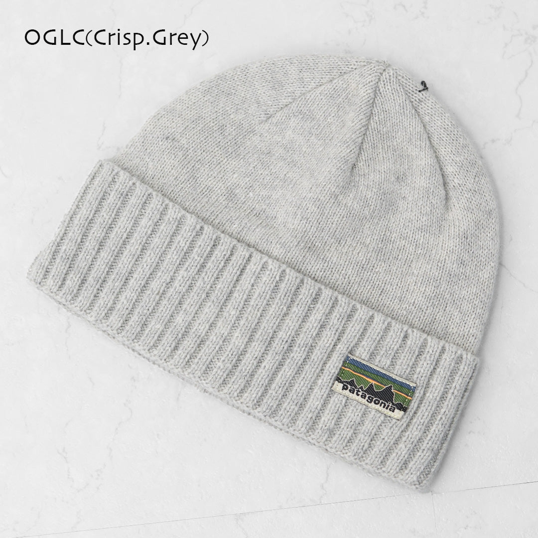 Patagonia [パタゴニア正規代理店] Brodeo Beanie [29206] ブロデオ・ビーニー [2026AW]