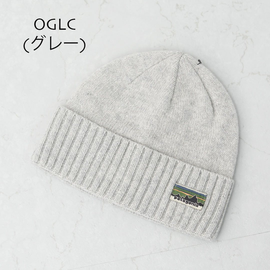 Patagonia [パタゴニア正規代理店] Brodeo Beanie [29206] ブロデオ・ビーニー [2025AW]