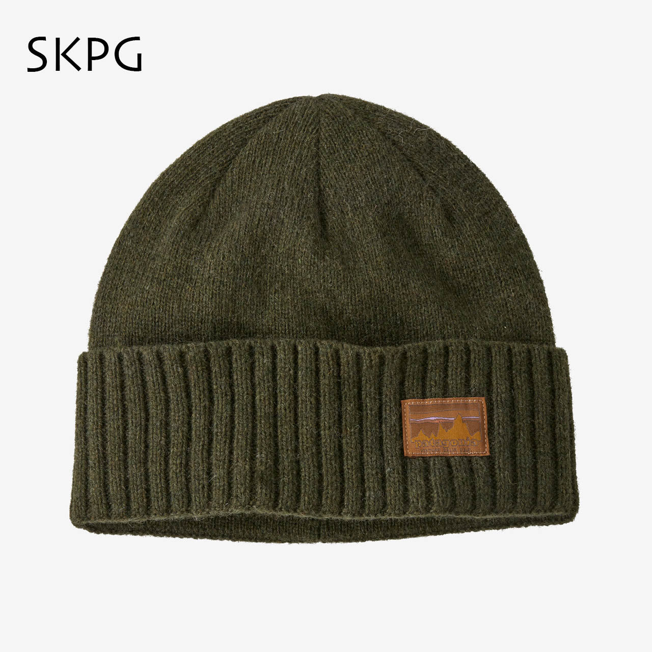 Patagonia [パタゴニア正規代理店] Brodeo Beanie [29206] ブロデオ・ビーニー [2024AW]