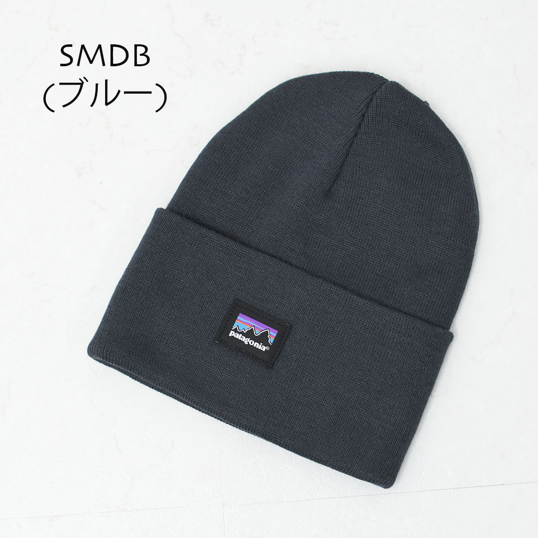 Patagonia [パタゴニア正規代理店] Everyday Beanie [33431] エブリデー・ビーニー・ニット帽・MEN'S/LADY'S  [2025AW]