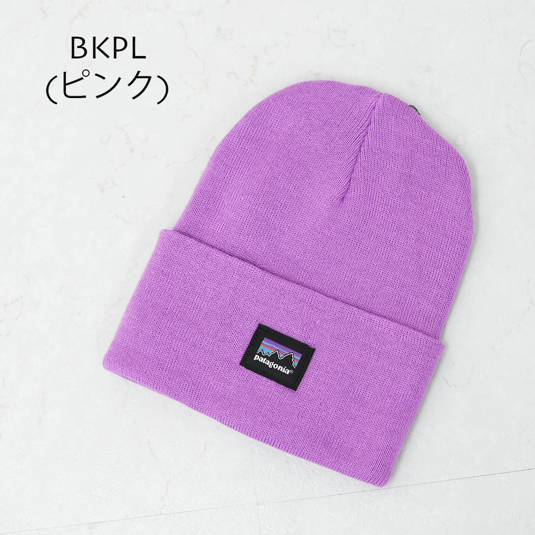 Patagonia [パタゴニア正規代理店] Everyday Beanie [33431] エブリデー・ビーニー・ニット帽・MEN'S/LADY'S  [2025AW]