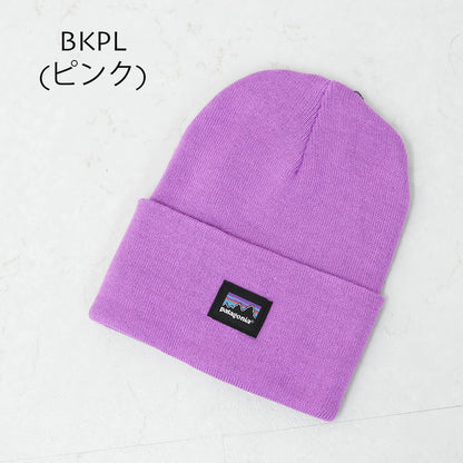Patagonia [パタゴニア正規代理店] Everyday Beanie [33431] エブリデー・ビーニー・ニット帽・MEN'S/LADY'S  [2025AW]