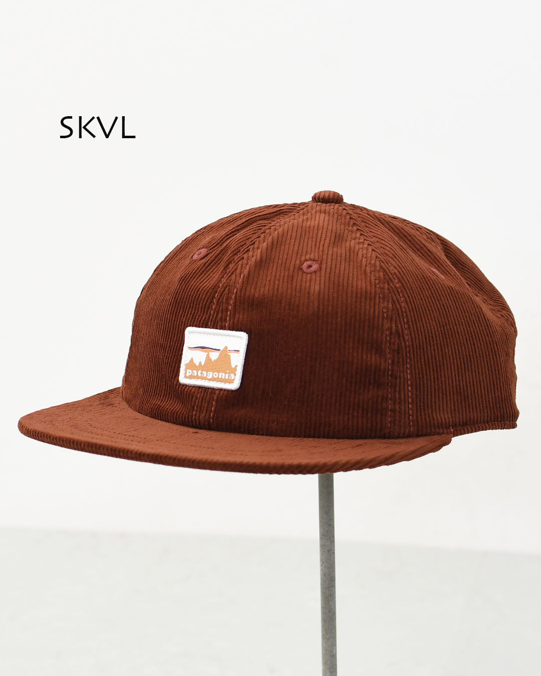 Patagonia [パタゴニア正規代理店] Corduroy Cap [33535] コーデュロイ・キャップ・MEN'S / LADY'S [2025AW]