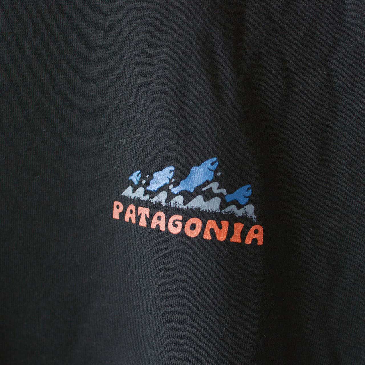 Patagonia [パタゴニア正規代理店] M's Take a Stand Responsibili-Tee [37591] メンズ・テイク・ア・スタンド・レスポンシビリティー [2024AW]