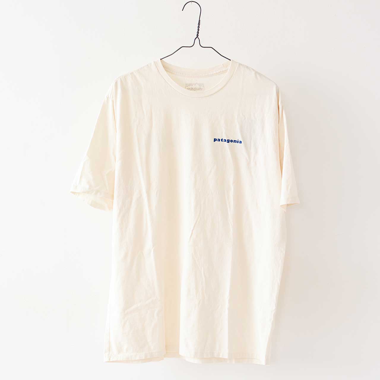 Patagonia [パタゴニア正規代理店] M's CTA Organic T-Shirt [37777] メンズ・CTA・オーガニック・Tシャツ [2024AW]