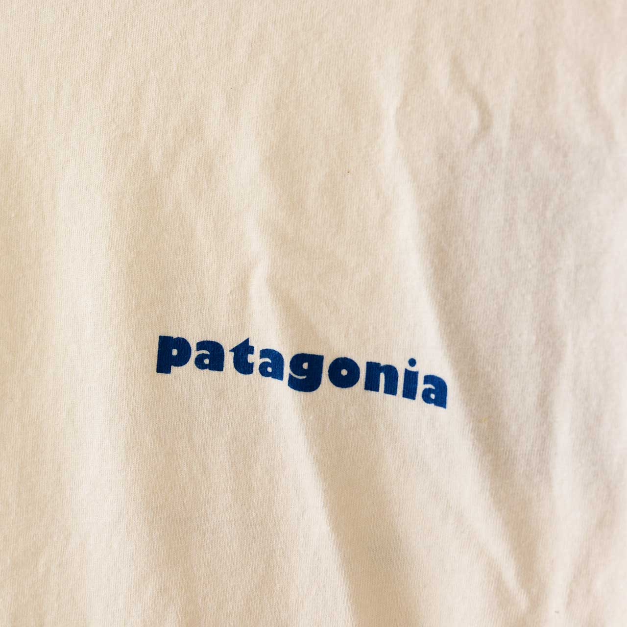 Patagonia [パタゴニア正規代理店] M's CTA Organic T-Shirt [37777] メンズ・CTA・オーガニック・Tシャツ [2024AW]