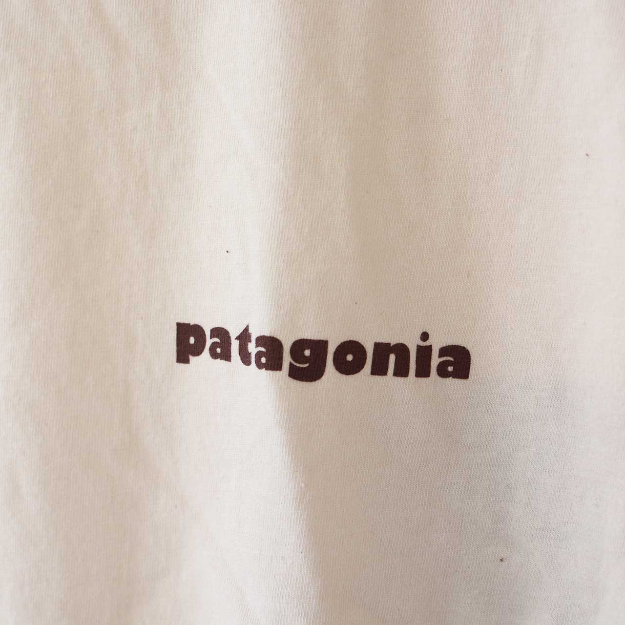 Patagonia [パタゴニア正規代理店] W's CTA Easy Cut Organic T-Shirt [37786] ウィメンズ・CTA・イージーカット・オーガニック・Tシャツ [2024AW]