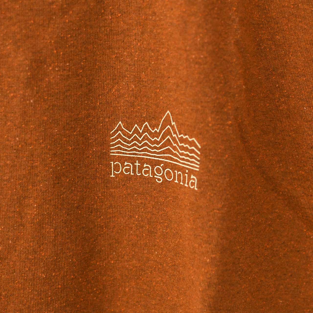 Patagonia [パタゴニア正規代理店] Strataspire Responsibili-Tee [37792] ストラタスパイア・レスポンシビリティー・MEN'S [2025SS]