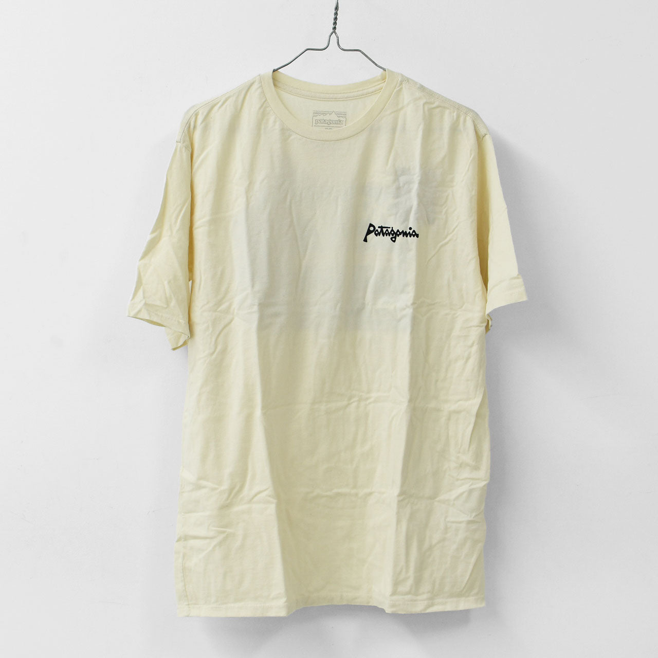 Patagonia [パタゴニア正規代理店] M's Aquatic Action Organic T-Shirt [37801] メンズ・アクアティック・アクション・オーガニック・Tシャツ [2025SS]