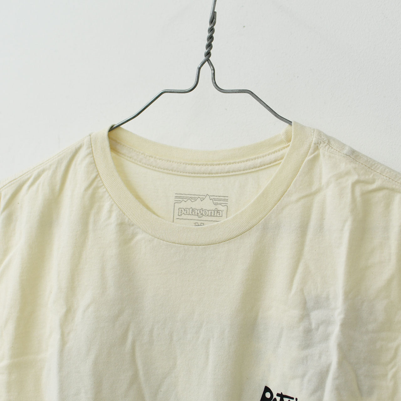Patagonia [パタゴニア正規代理店] M's Aquatic Action Organic T-Shirt [37801] メンズ・アクアティック・アクション・オーガニック・Tシャツ [2025SS]