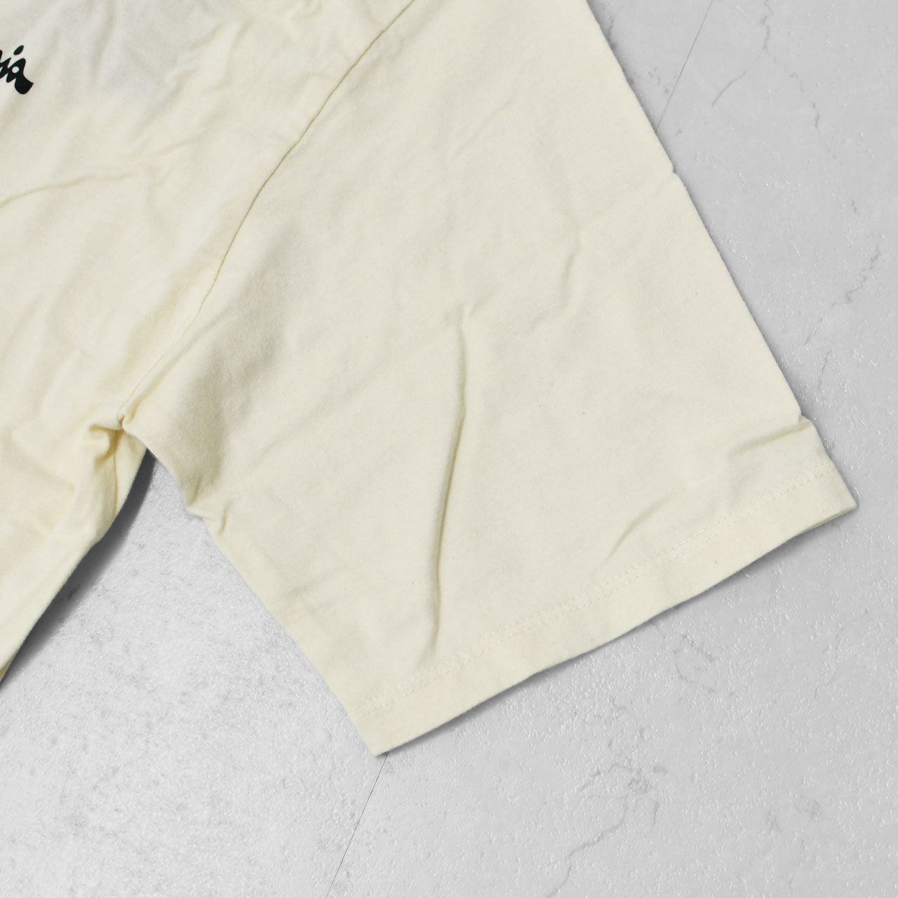 Patagonia [パタゴニア正規代理店] M's Aquatic Action Organic T-Shirt [37801] メンズ・アクアティック・アクション・オーガニック・Tシャツ [2025SS]