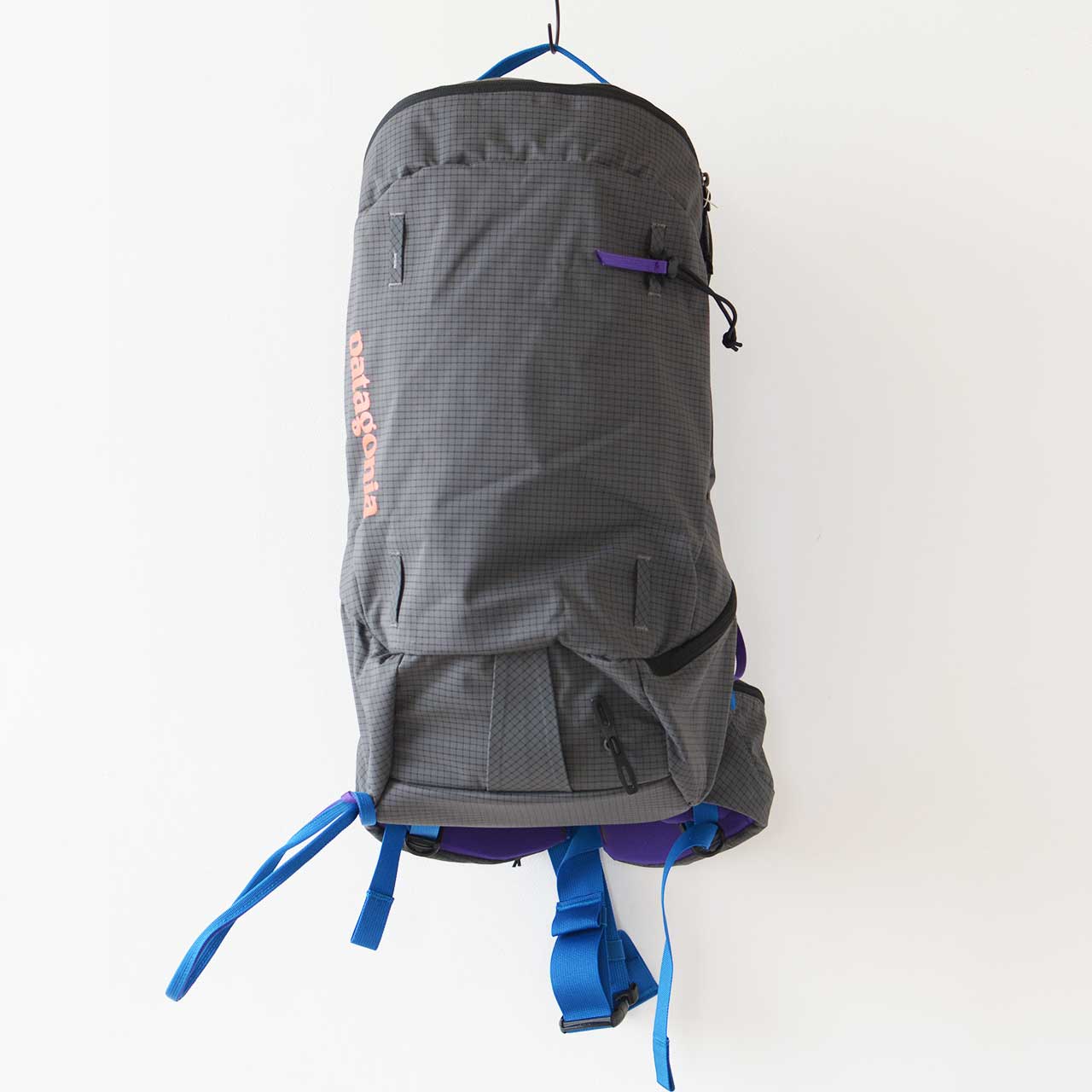 Patagonia [パタゴニア正規代理店] Snowdrifter 20L [48180] スノードリフター・パック 20L [2024AW]