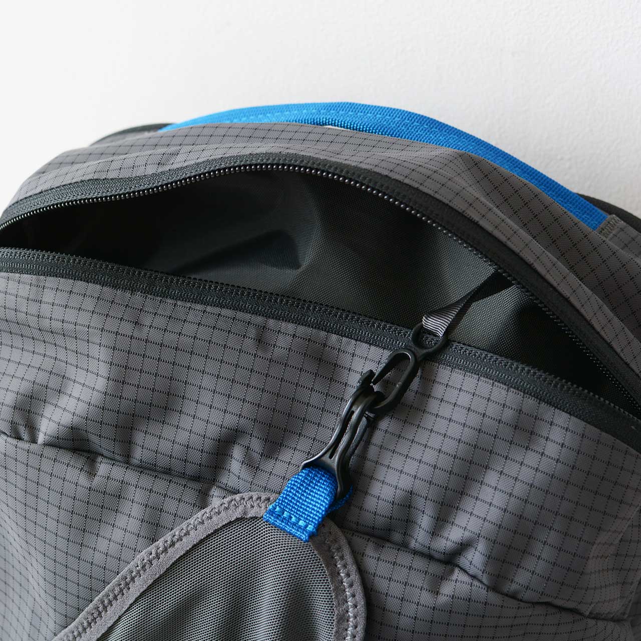 Patagonia [パタゴニア正規代理店] Snowdrifter 20L [48180] スノードリフター・パック 20L [2024AW]