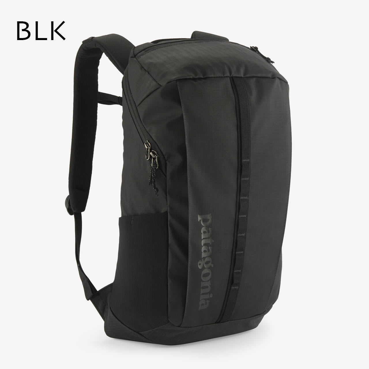 Patagonia [パタゴニア正規代理店] Black Hole Pack 25L [49298] ブラックホール・パック 25L [2024AW]