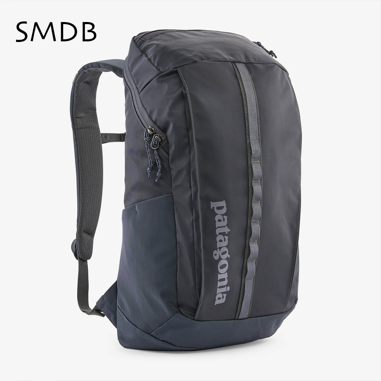 Patagonia [パタゴニア正規代理店] Black Hole Pack 25L [49298] ブラックホール・パック 25L [2024AW]