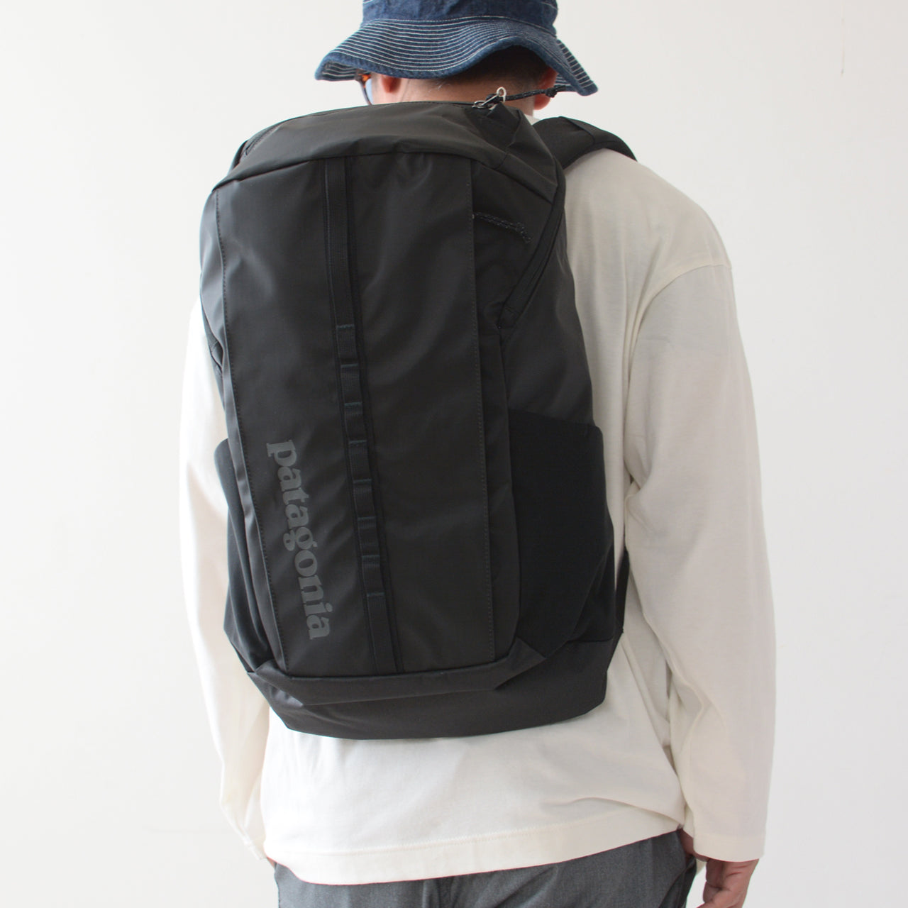 Patagonia [パタゴニア正規代理店] Black Hole Pack 25L [49298] ブラックホール・パック 25L [2024AW]