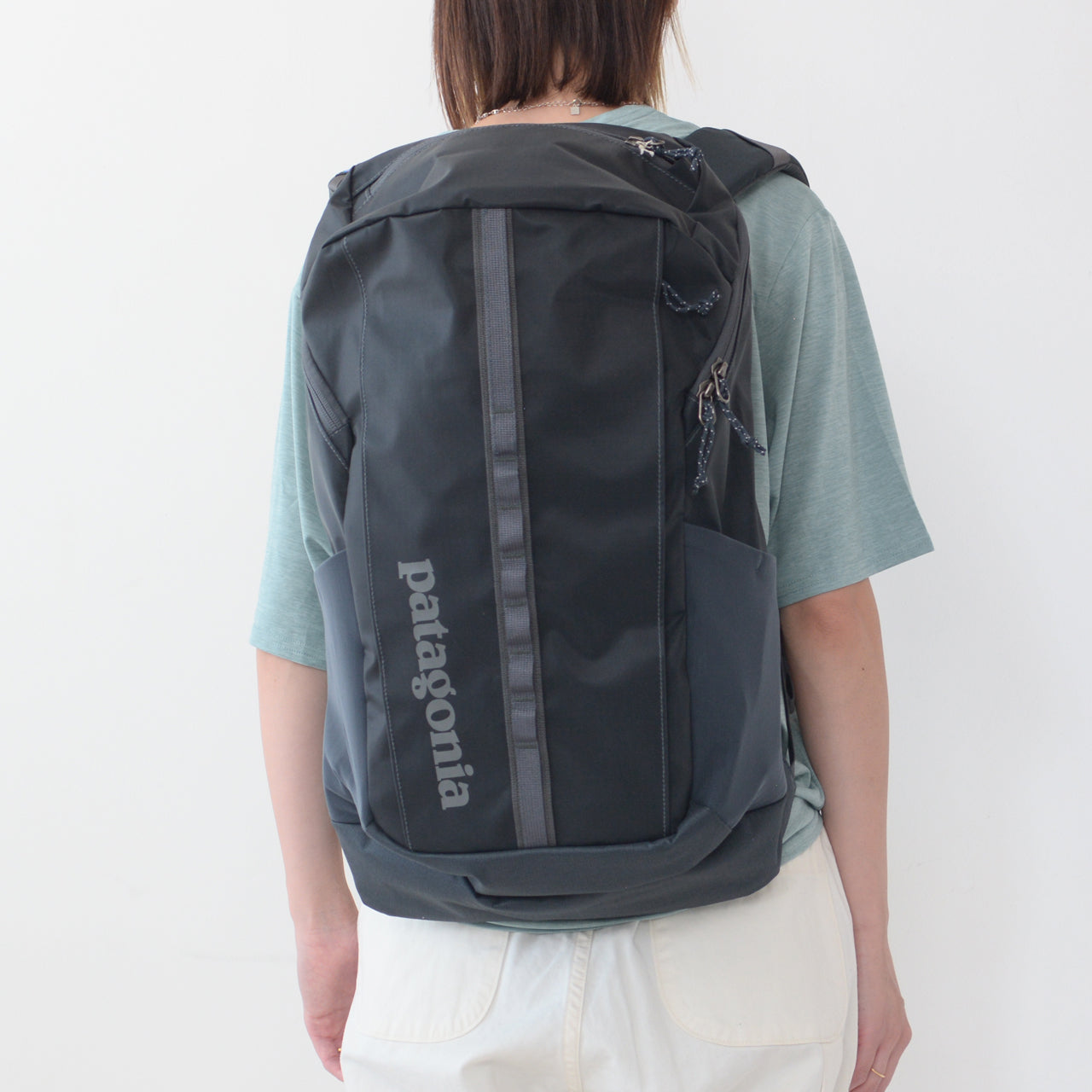 Patagonia [パタゴニア正規代理店] Black Hole Pack 25L [49298] ブラックホール・パック 25L [2024AW]