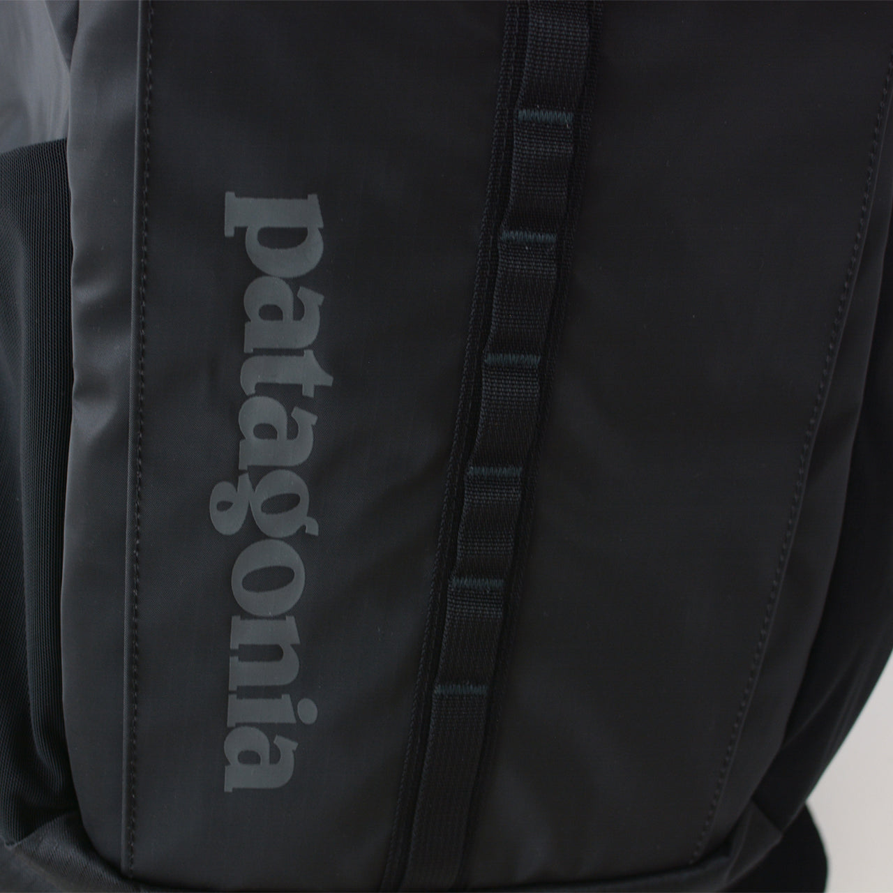 Patagonia [パタゴニア正規代理店] Black Hole Pack 25L [49298] ブラックホール・パック 25L [2024AW]