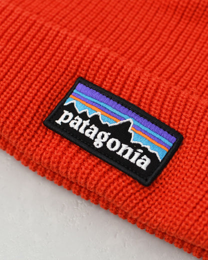 Patagonia [パタゴニア正規代理店] K's Logo Beanie [66046] キッズ・ロゴ・ビーニー・ニット帽・KID'S/LADY'S  [2025AW]