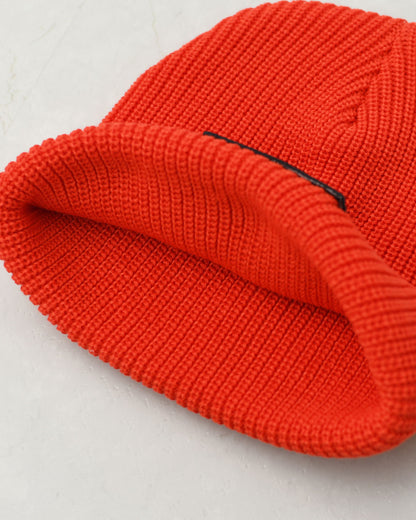 Patagonia [パタゴニア正規代理店] K's Logo Beanie [66046] キッズ・ロゴ・ビーニー・ニット帽・KID'S/LADY'S  [2025AW]