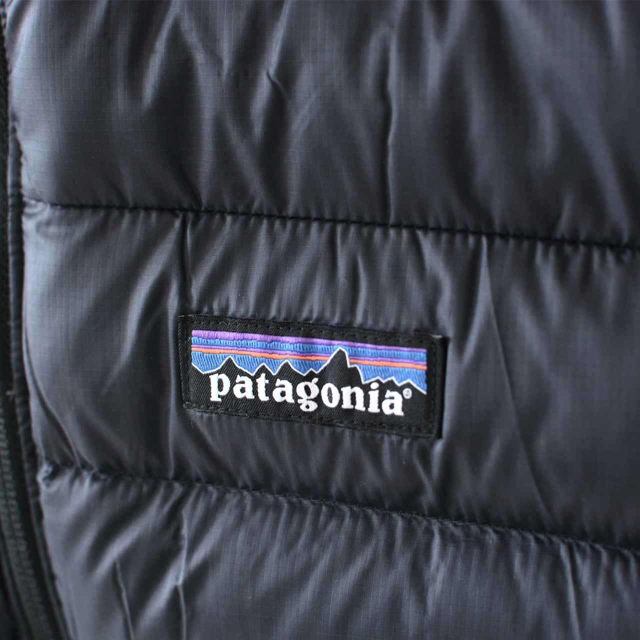 Patagonia [パタゴニア正規代理店] Ws Down Sweater Vest [84629] ウィメンズ・ダウン・セーター・ベスト [2024AW]