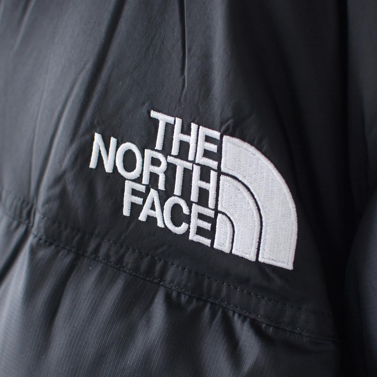 【PRE SALE】THE NORTH FACE  [ザ・ノース・フェイス正規代理店] Nuptse Hoodie [ND92559] ヌプシフーディー（メンズ）・ダウンジャケット・ウィンタージャケット・中綿・保温・はっ水・キャンプ・アウトドア・MEN'S [2025AW]