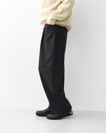 DANTON [ダントン] W TUCK PANTS [DT-E0274FLP] タックパンツ・イージーパンツ・2タック・ワイドテーパードシルエット・Lポケット・LADY'S [2025AW]