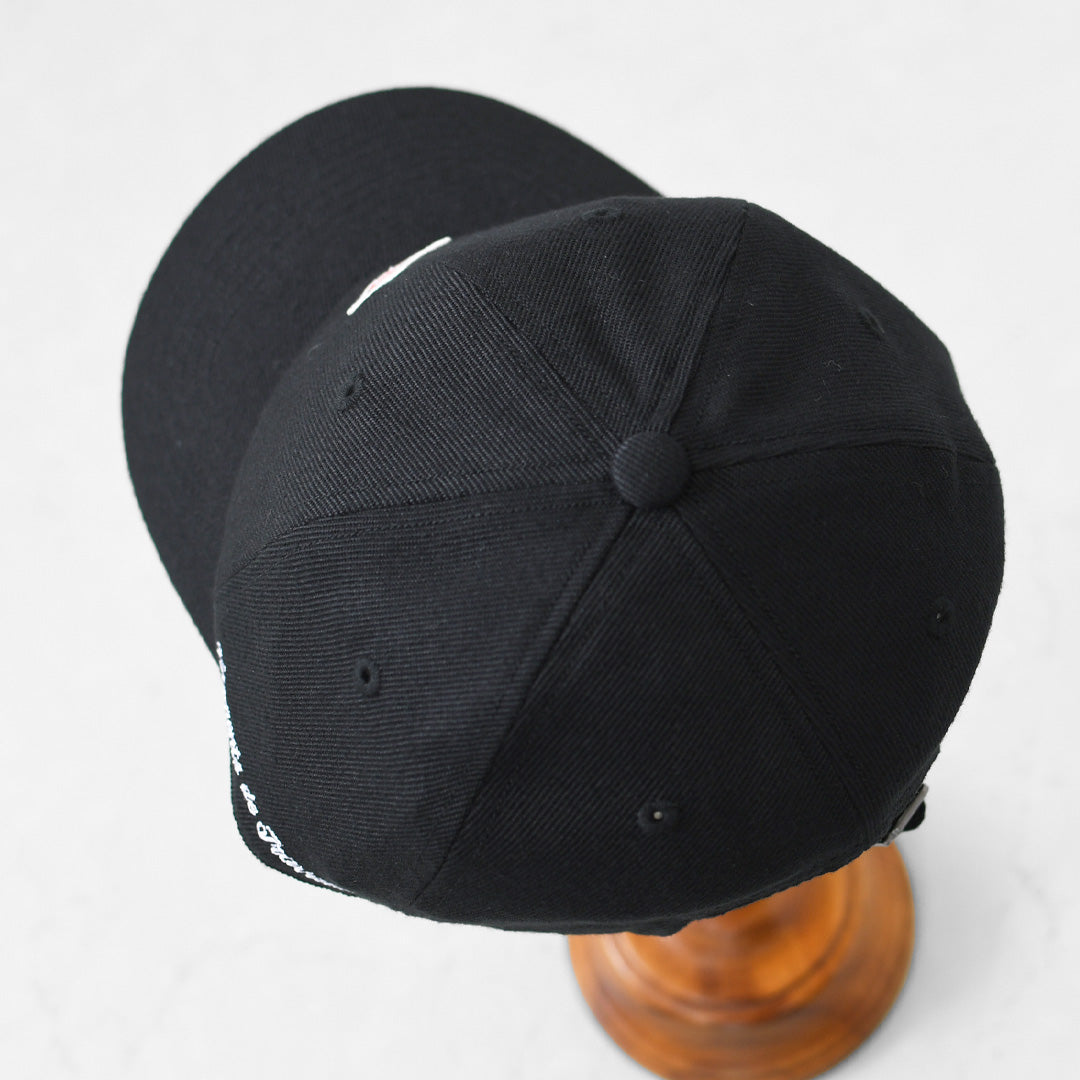 DANTON [ダントン] 6PANEL CAP [DT-H0308PEE] 6パネルキャップ・6パネルキャップ・ナイロンキャップ・キャンプ・アウトドア・MEN'S / LADY'S [2026AW]