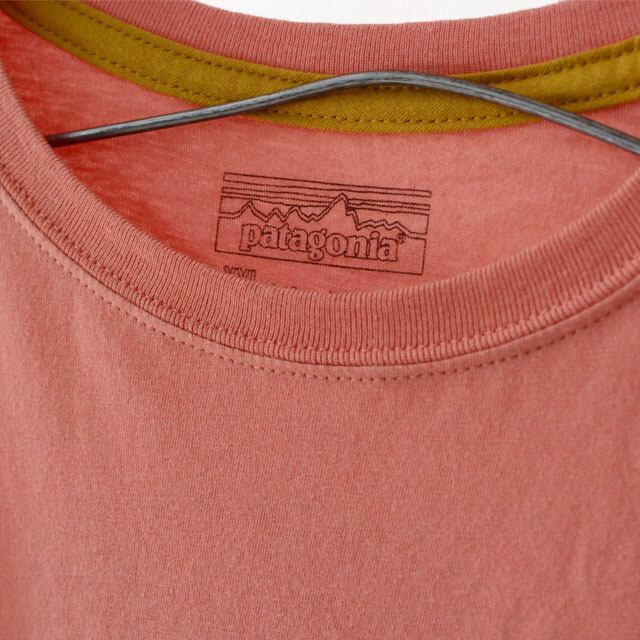 Patagonia [パタゴニア正規代理店] Boys' Graphic Organic T-Shirt [62151] ボーイズ・グラフィック・オーガニック・Tシャツ（キッズ・レディース） [2021SS]