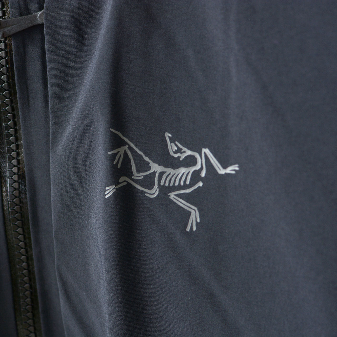 ARC'TERYX [アークテリクス正規代理店] Ralle Parka Men's [X000009917] レイル パーカ メンズ・フードジャケット・スキー・スノーボード・キャンプ・アウトドア・GORE-TEX・MEN'S [2025AW]