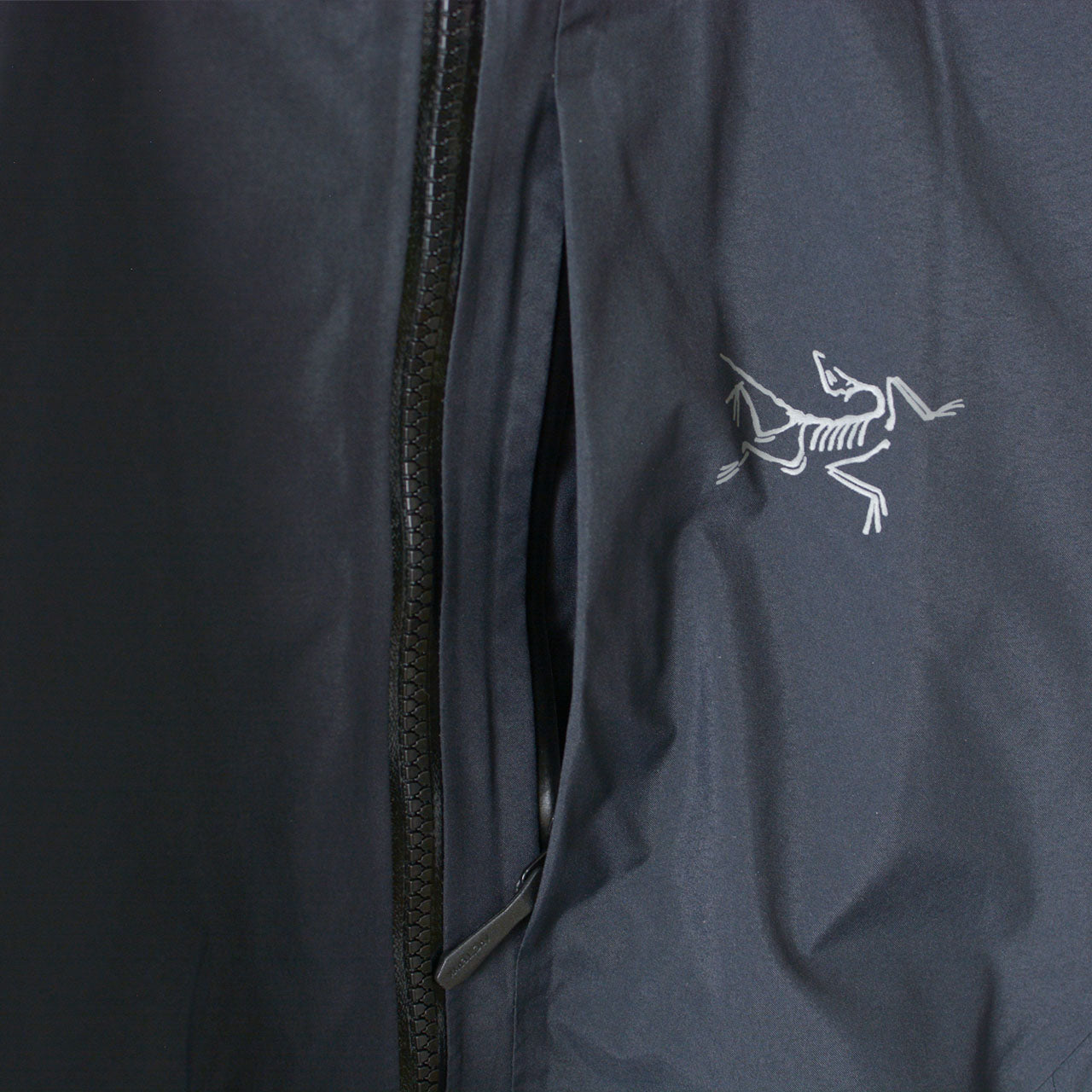 ARC'TERYX [アークテリクス正規代理店] Ralle Parka Men's [X000009917] レイル パーカ メンズ・フードジャケット・スキー・スノーボード・キャンプ・アウトドア・GORE-TEX・MEN'S [2025AW]