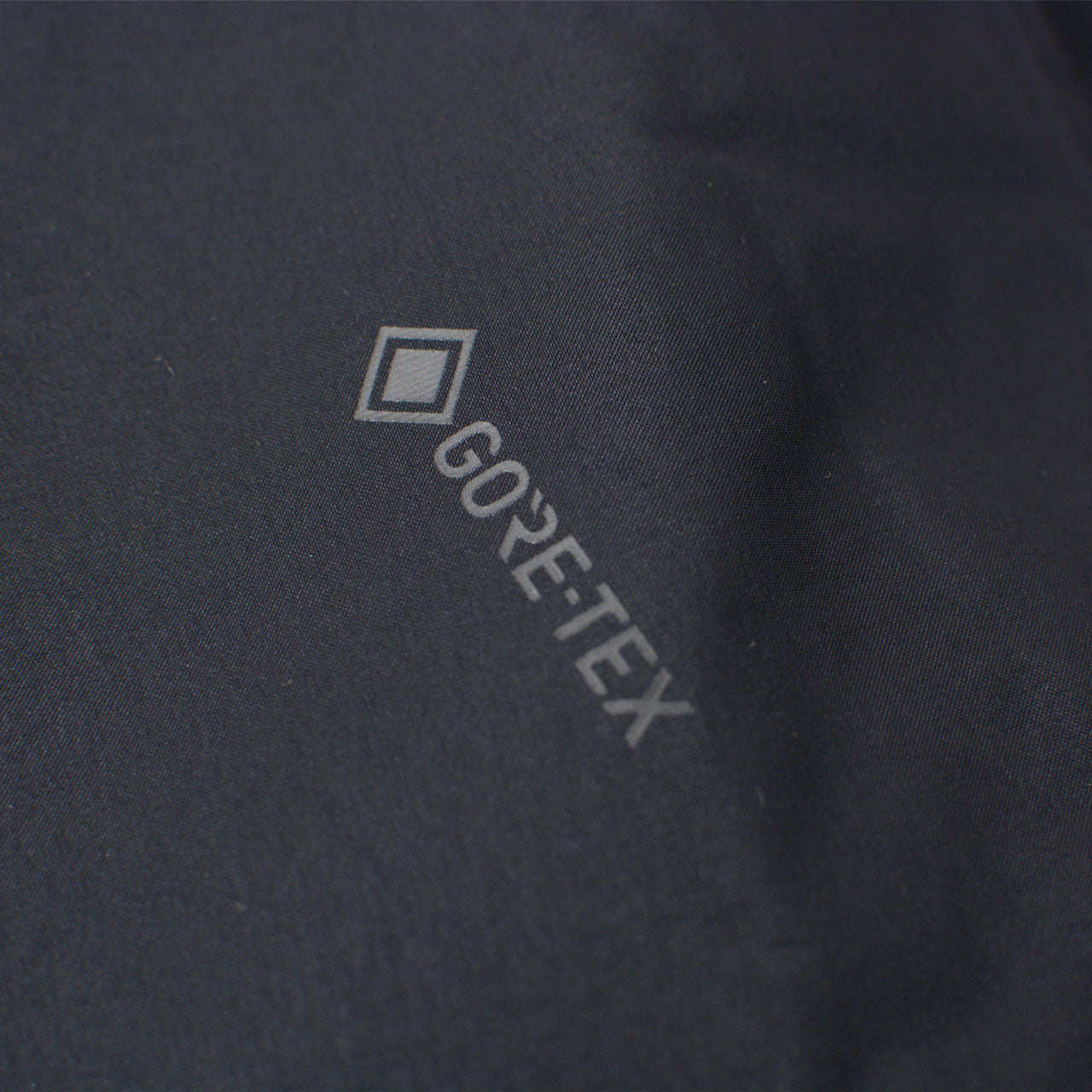 ARC'TERYX [アークテリクス正規代理店] Ralle Parka Men's [X000009917] レイル パーカ メンズ・フードジャケット・スキー・スノーボード・キャンプ・アウトドア・GORE-TEX・MEN'S [2025AW]